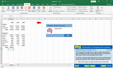 professor teaches excel 2019